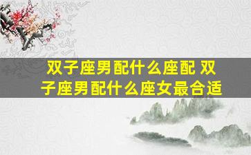 双子座男配什么座配 双子座男配什么座女最合适